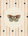 Image Not Available